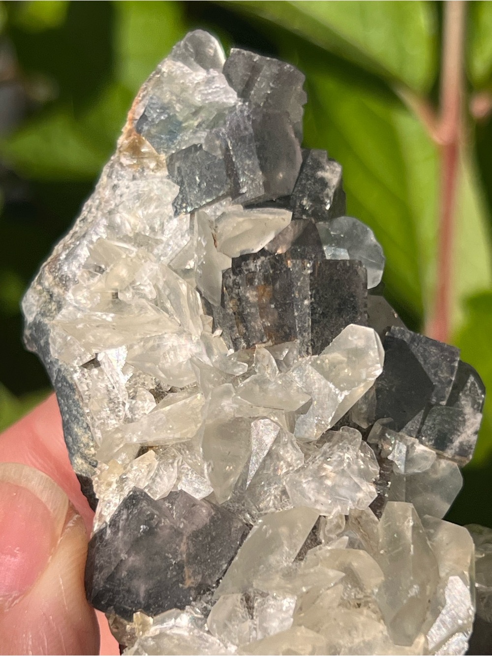 Calcite (1) with fluorite specimen with stand | crystal ~ uv reactive